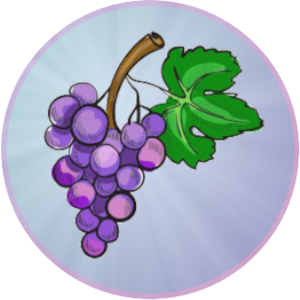 CCSDA Grapevine